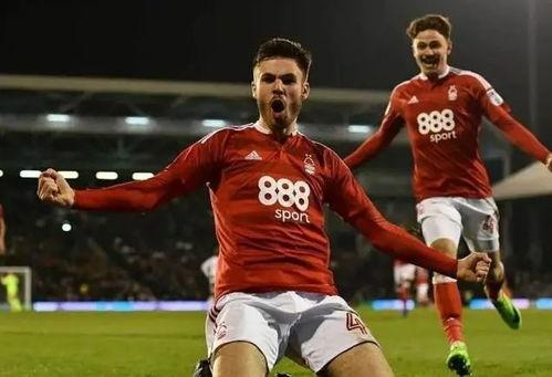 23-24赛季英超第15轮：富勒姆vs诺丁汉森林,第15轮英超焦点战即将揭晓！”