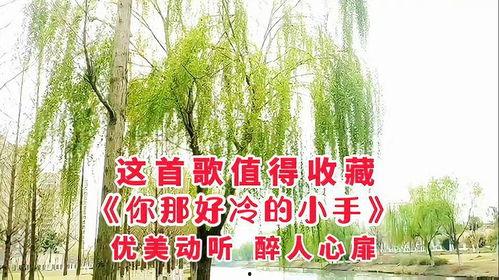 你那好冷的小手,呵护那好冷的小手