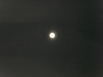 八月十五中秋月