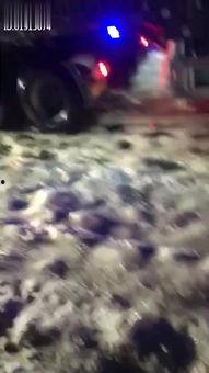 末日寒潮,地球冰封的临界时刻