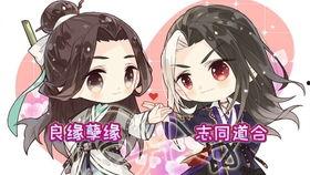 堕汀兰,探寻神秘花语背后的传奇故事